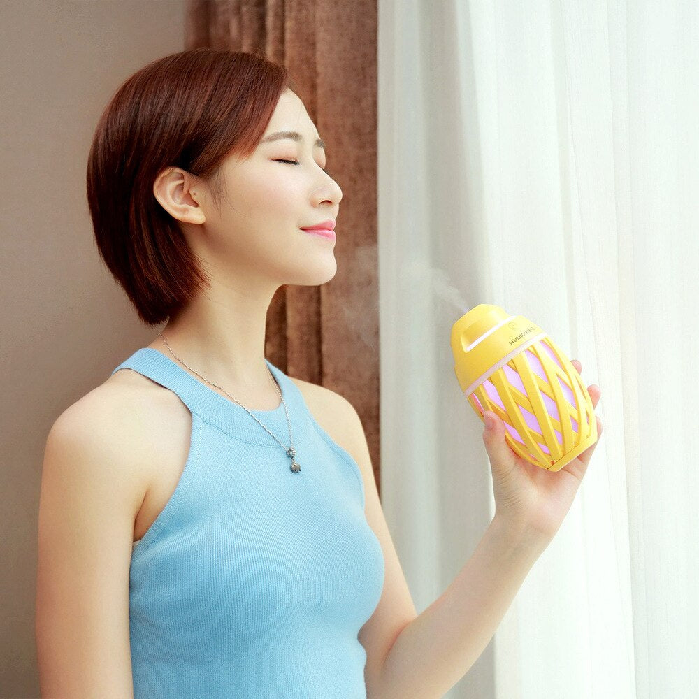 Humidificateur d'air ultrasonique