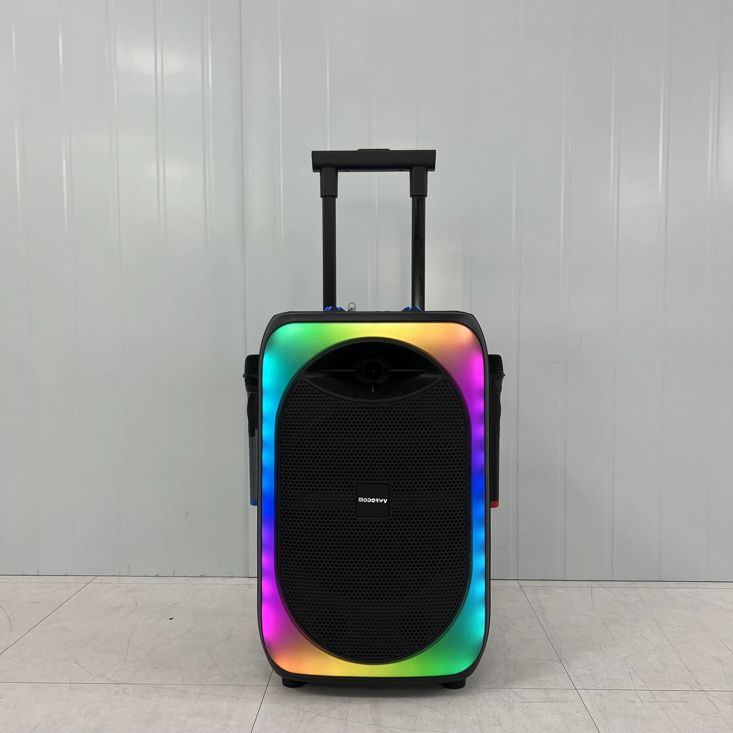 Enceinte Trolley 12 Pouces avec 2 Microphones