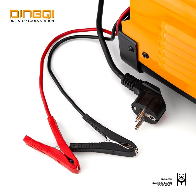 DINGQI - Chargeur de Batterie Professionnel