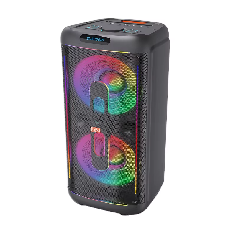 Enceinte de Scène Professionnelle d'Extérieur 1500W