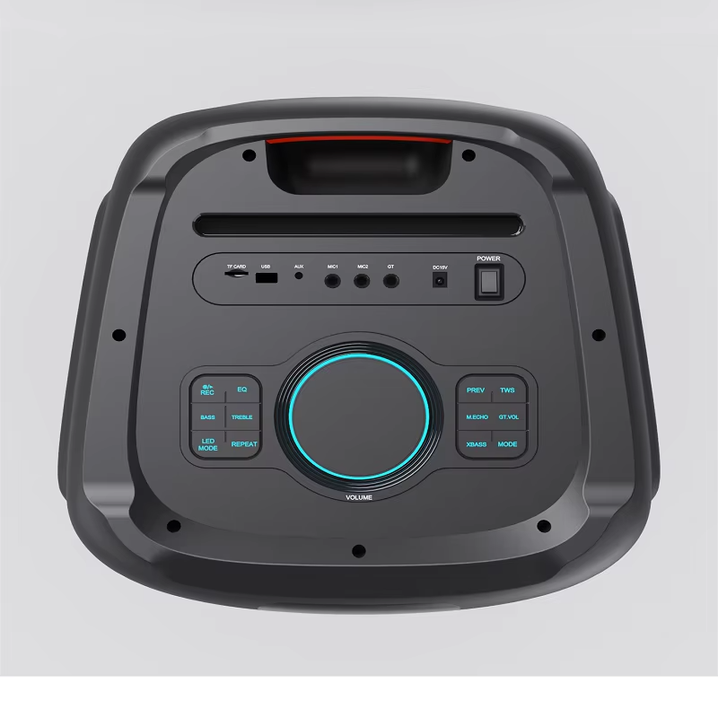 Enceinte de Scène Professionnelle d'Extérieur 1500W