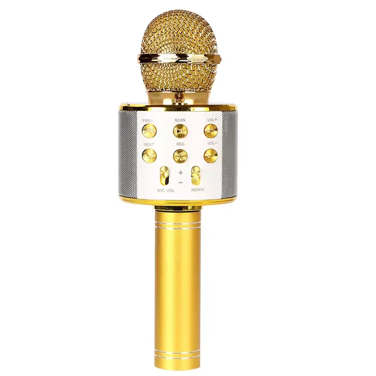 Microphone à main