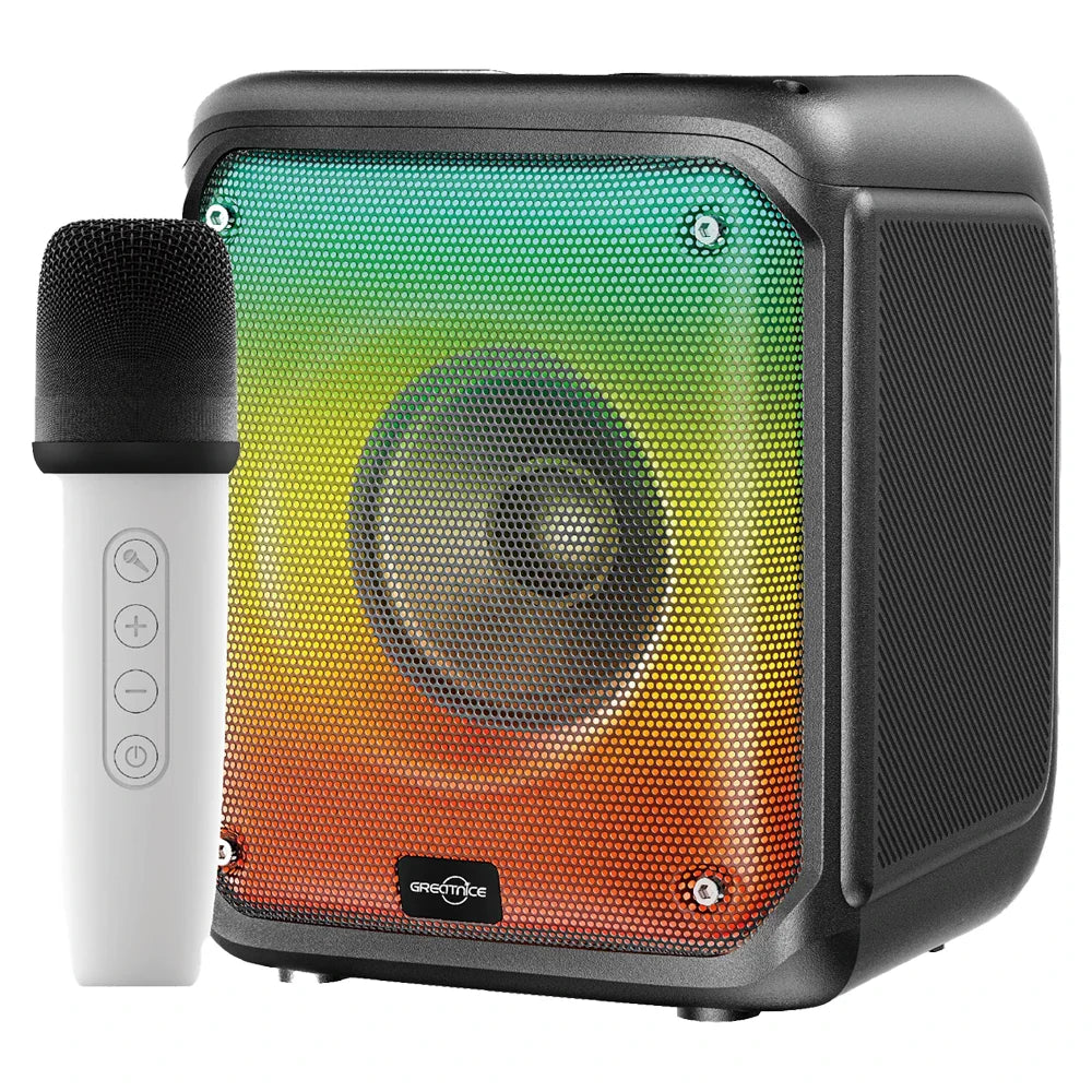 Micro système de son haut-parleur